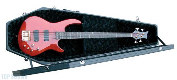 coffin bass guitar case